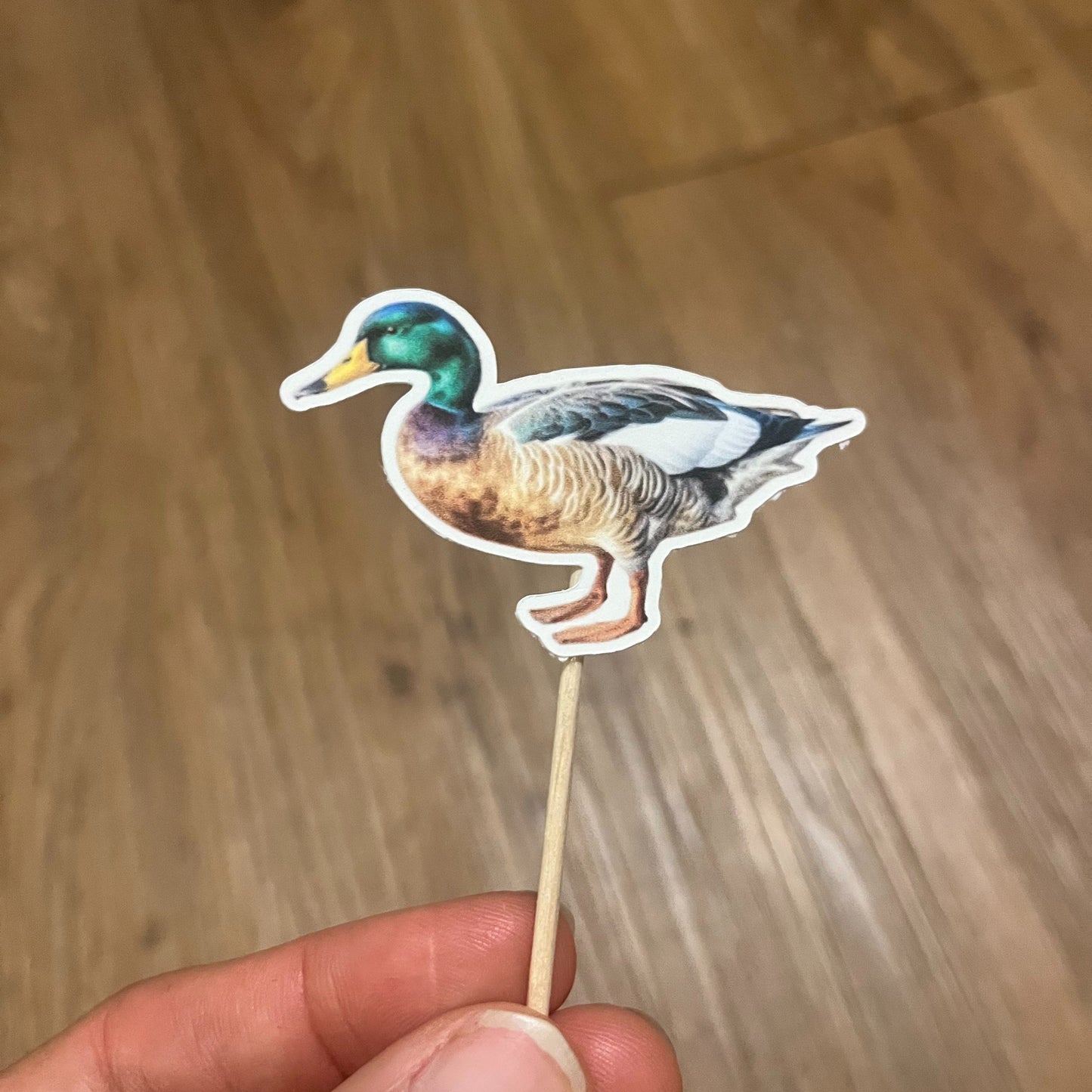 Watercolor Duck Cupcake Toppers