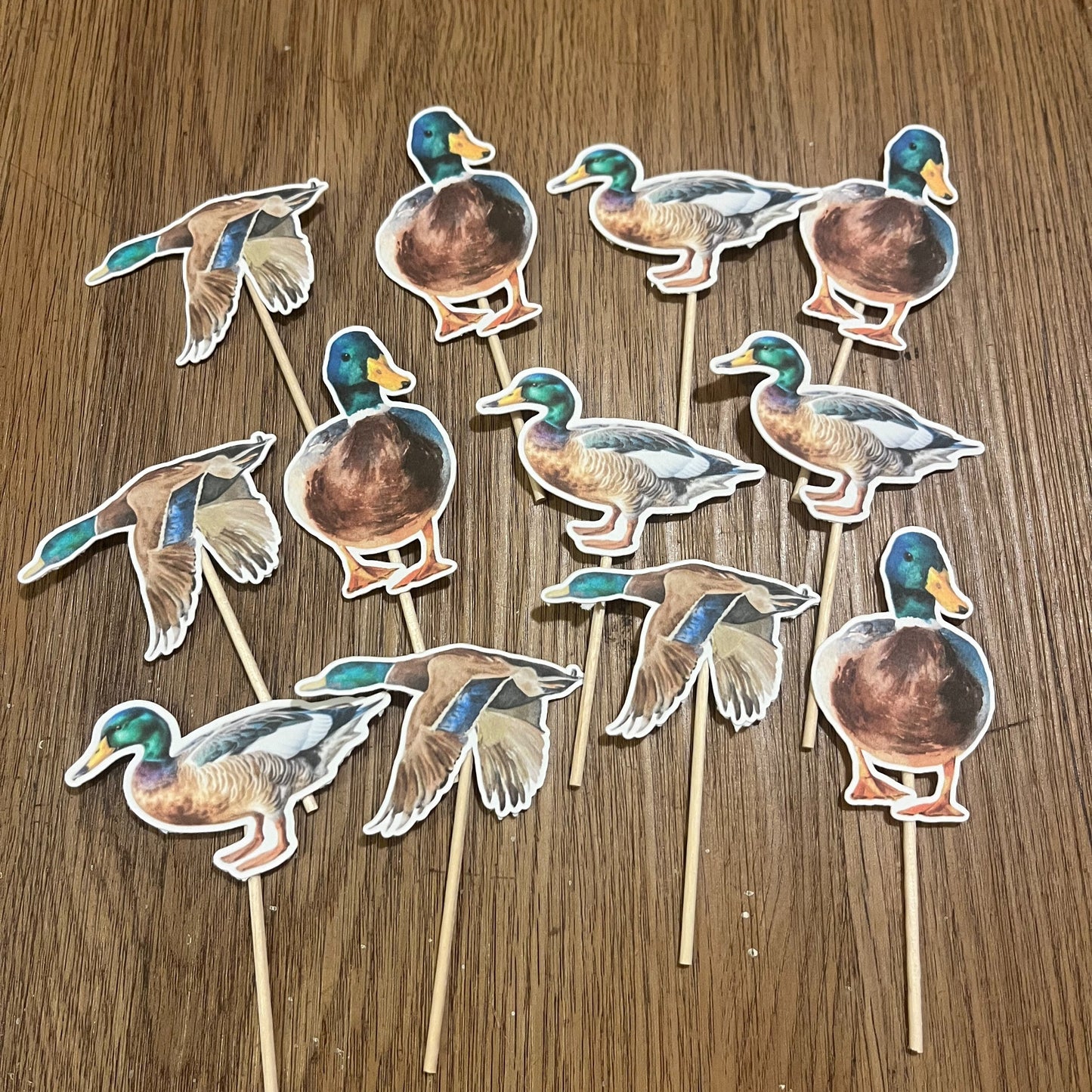 Watercolor Duck Cupcake Toppers