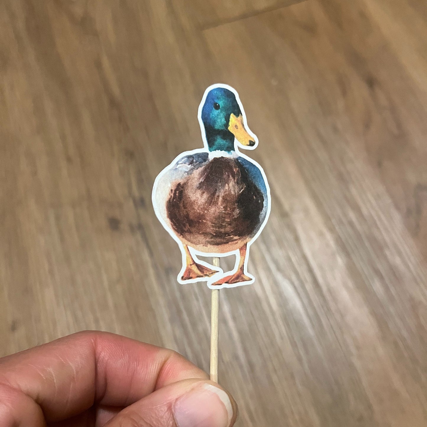 Watercolor Duck Cupcake Toppers